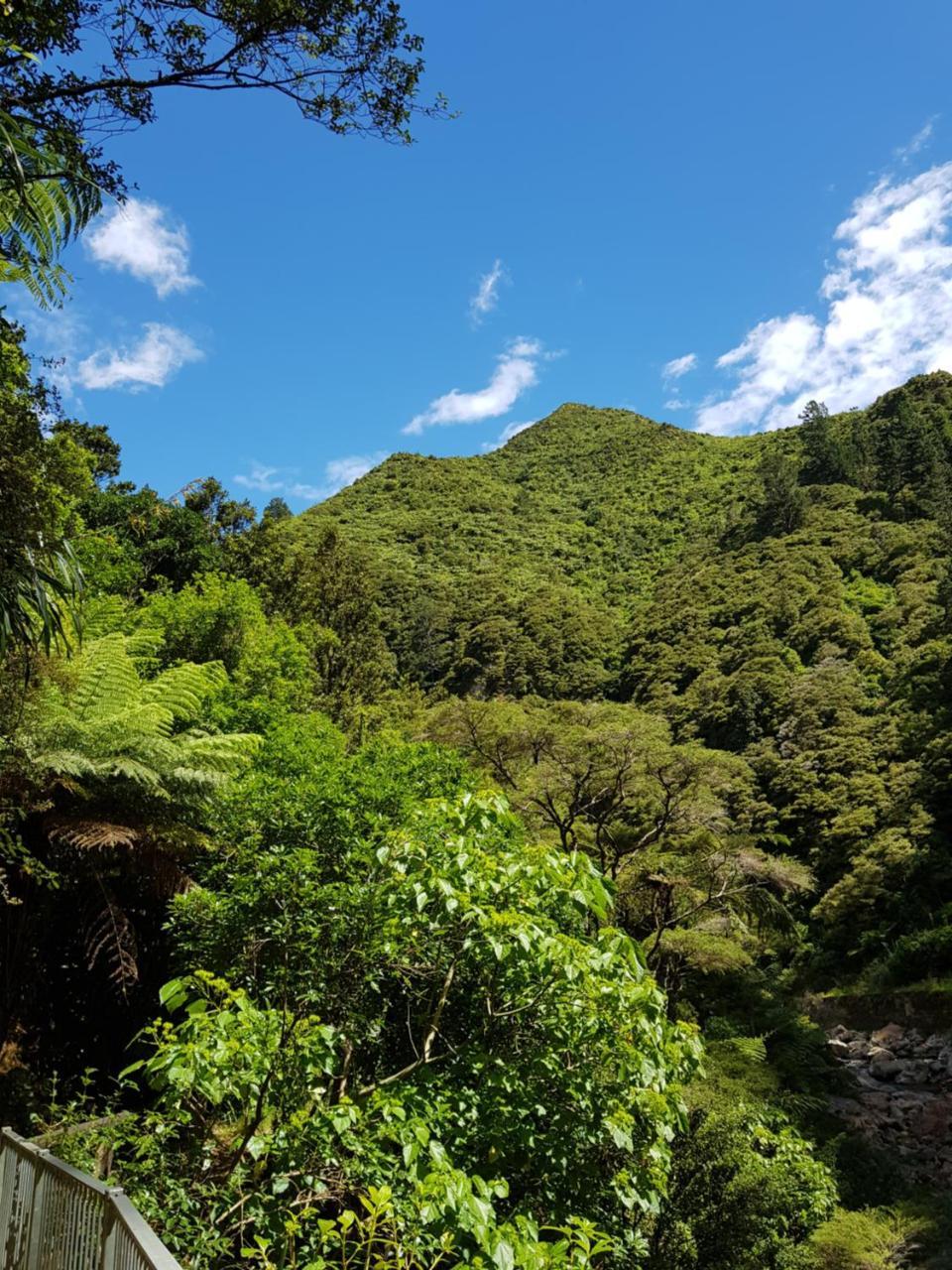 Riverside Accommodation Karangahake Экстерьер фото